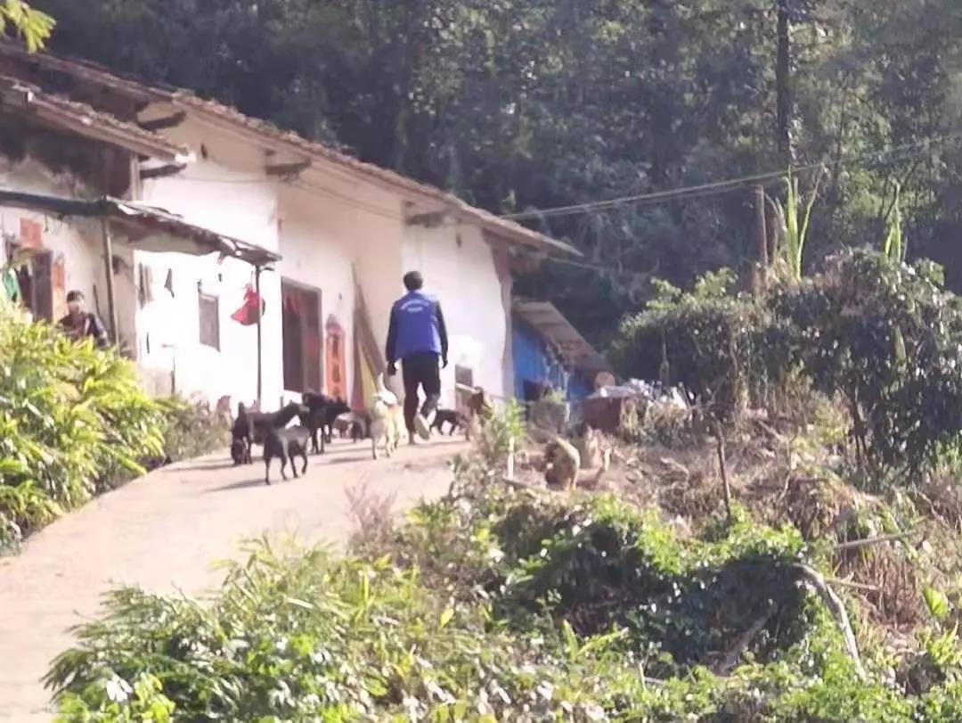 阳春房地一体项目纪实丨无悔青春多砥砺，，，，，，，，最是奋斗动人心