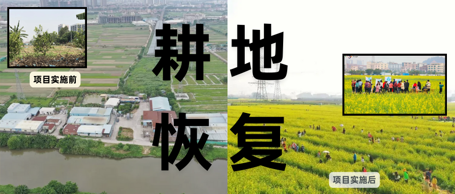 耕地；；；；；；；；び刖梅⒄构踩凇甘泻窠终蛩谏缜读继锵钅扛鼗指从氤窍缛诤系拇葱率导